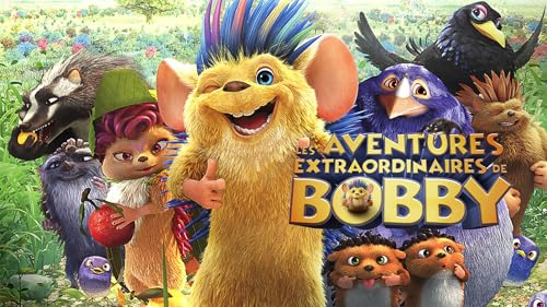 Les aventures extraordinaires de bobby – vue 2