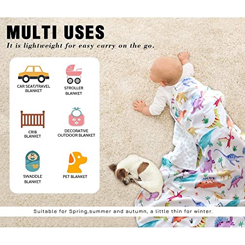 Image of Baby Mink Blankets, Dinosaur Toddler Blanket for Boys Girls, Soft Newborn Blanket with Dotted Backing, Double Layer, Crib Receiving Blanket for Nursery, Shower Gifts, 30 X 40 Inches