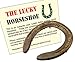 Wonder Care Horseshoe Authentic Used Horseshoe Good Luck Charm Rustic Auspicious Lucky Gift Cast Iron Real Horseshoe for Wall Decorations Prosperity and Fortune