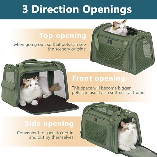 Petsfit Transportbox Katze Hund faltbar Transporttasche Hundetasche für Katzen Hunde, Hochwertige Tragetasche Hund Katze mit Schultergurt und weiches expandierbare Kissen,groß