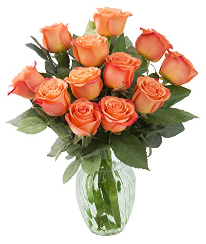 Kabloom Prime Overnight Delivery - Bouquet Of 12 Fresh Orange Roses (Farm-Fresh, Long-Stem) With Vase #TOP17