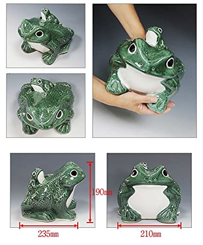 Amazon.co.jp: 信楽焼 10号青蛙【ka-0053】 カエル 陶器蛙 やきもの