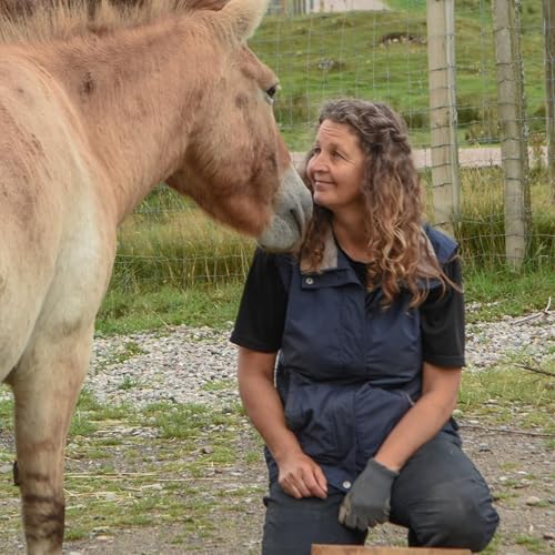 Wild Horse Behavior: What 20 Years of Research Reveals About Domestic Horses