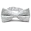 Pale Silver Darlene Paisley