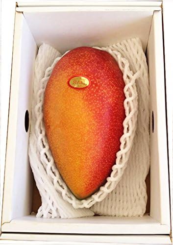 Amazon 期間限定 幻の玉文マンゴー Sサイズ 約800g まなみ農園 宮古島直送 沖縄 南国トロピカルフルーツ まなみ農園 果物 通販