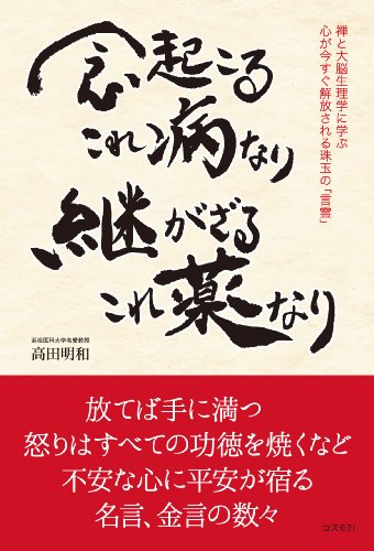 Amazon Co Jp 念起こるこれ病なり 継がざるこれ薬なり 禅と大脳生理学に学ぶ 心が今すぐ解放される珠玉の 言霊 Ebook 高田明和 本