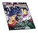 My Little Pony Tails of Equestria RPG: The Festival of Lights