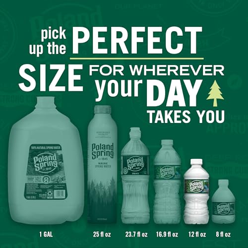 Image of Poland Spring Maine Spring Water Bottles, 12-Pack - Still Bottled Water with Naturally Occurring Minerals for Taste - 12 Fl Oz Bottles