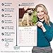 Pug 2026 Calendar | Square Wall Calendar | Dog Breed Gift | Plastic Free Packaging | by Avonside Publishing