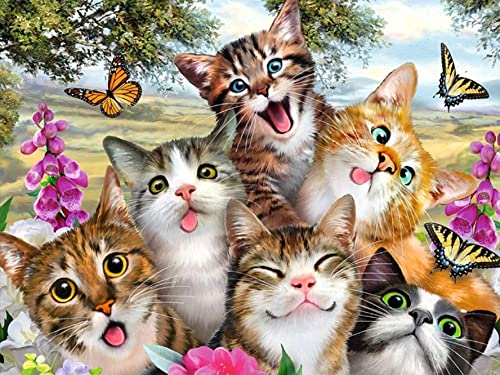 Bimkole 5D Diamond Painting DIY Kits Chat Souriant, Broderie Diamant Kits Animal De Broderie Au Point De Croix Strass Rond pour la décoration à la Maison/Salon/Chambre/Bureau 30x40cm Cover