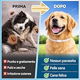 Halldeli B0GGS284RR lato 3