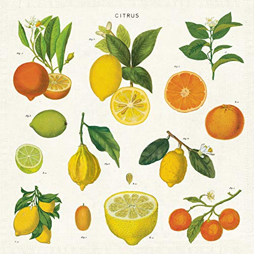 Cavallini Papers & Co. Citrus Cloth Napkin - Set of 4, Assorted