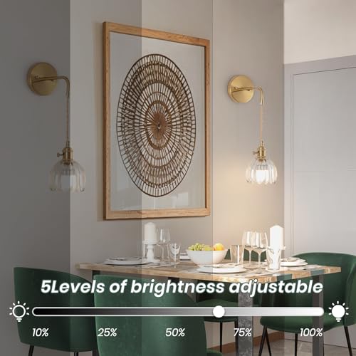 Image of Vintage Battery Operated Wall Sconces Sets Of Two, Indoor not Hardwired Transparent Tulip Glass Lampshade Fixtures, Rechargeable Wireless RGB Wall Lights with Dimmable Remote, for Bedroom Living Room