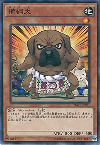 Amazon.co.jp: 遊戯王カード RATE-JP031 横綱犬 ノーマル 遊☆戯