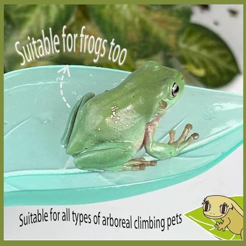 Image of Crested Gecko Tank Accessories,Crested Gecko Hide,Frog Habitat Platform,Gecko Wall Climbing Toy &Reptile Branches(3PCS) (Light Blue)