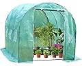 FDW L10'xW7'xH7' Greenhouse for Outdoors Greenhouse Plastic Mini Greenhouse Kit Indoor Portable Greenhouse Plant Shelves Tomato Herb Canopy Winter Walk-in Green House for Patio
