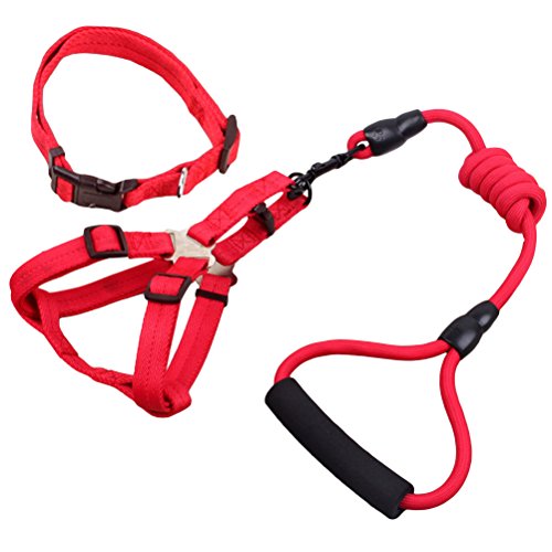 3pcs pet Collar Cone pet Carrier Sling pet Harness Dog Harness and Leash Suspenders The Dog