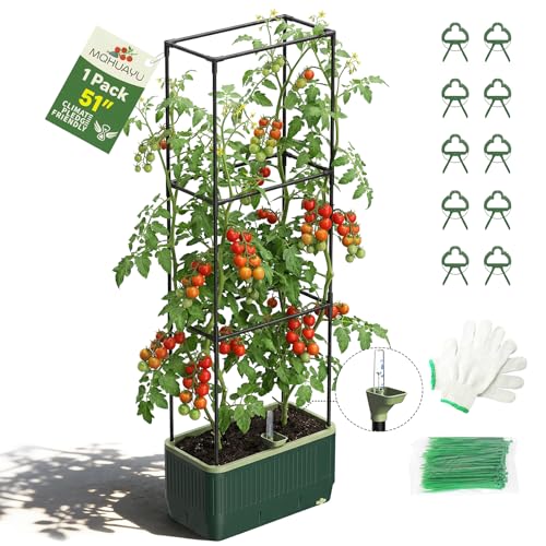 Image of MQHUAYU 1 Pack Raised Garden Bed with Trellis, Self Watering System, Height Adjustable Tomato Planter, Elevated Rectangular Planter Box for Vegetables, Tomato & Climbing Plants,Outdoor Patio Garden