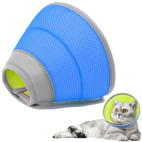 Cat Cones The 15 best products compared Wild Explained