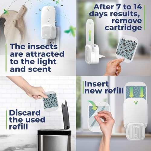Image of VEYOFLY Fruit Fly Traps Indoor Plug-in UV, Gnat Trap, 4 Device + 8 Refills | UV light attracts insects to glue cards, silent 24 /7, plug-in setup, replaceable cards, indoor use, no zapper