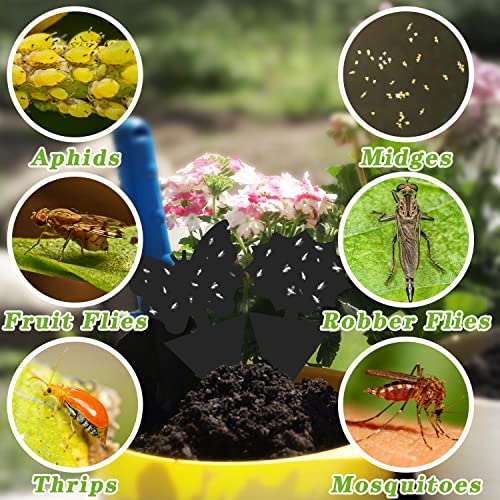 Image of Landisun 96PCS Fruit Fly Traps Sticky Traps Fungus Gnat Traps Insect Bug Traps for Indoor Outdoor Kitchen Plants Whitefly Mosquitos Fungus Gnats Flying Insects, JPM0161