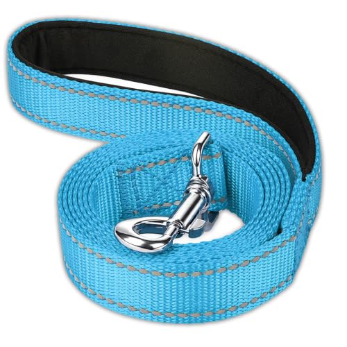 FunTags Laisse chien réfléchissante nylon 6ft, Moyen/Grand