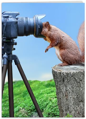 Funny Birthday Card for her, him, friend, coworker, sister or anyone who loves funny animal photos