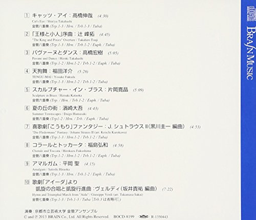 Aida - kyoto city universit