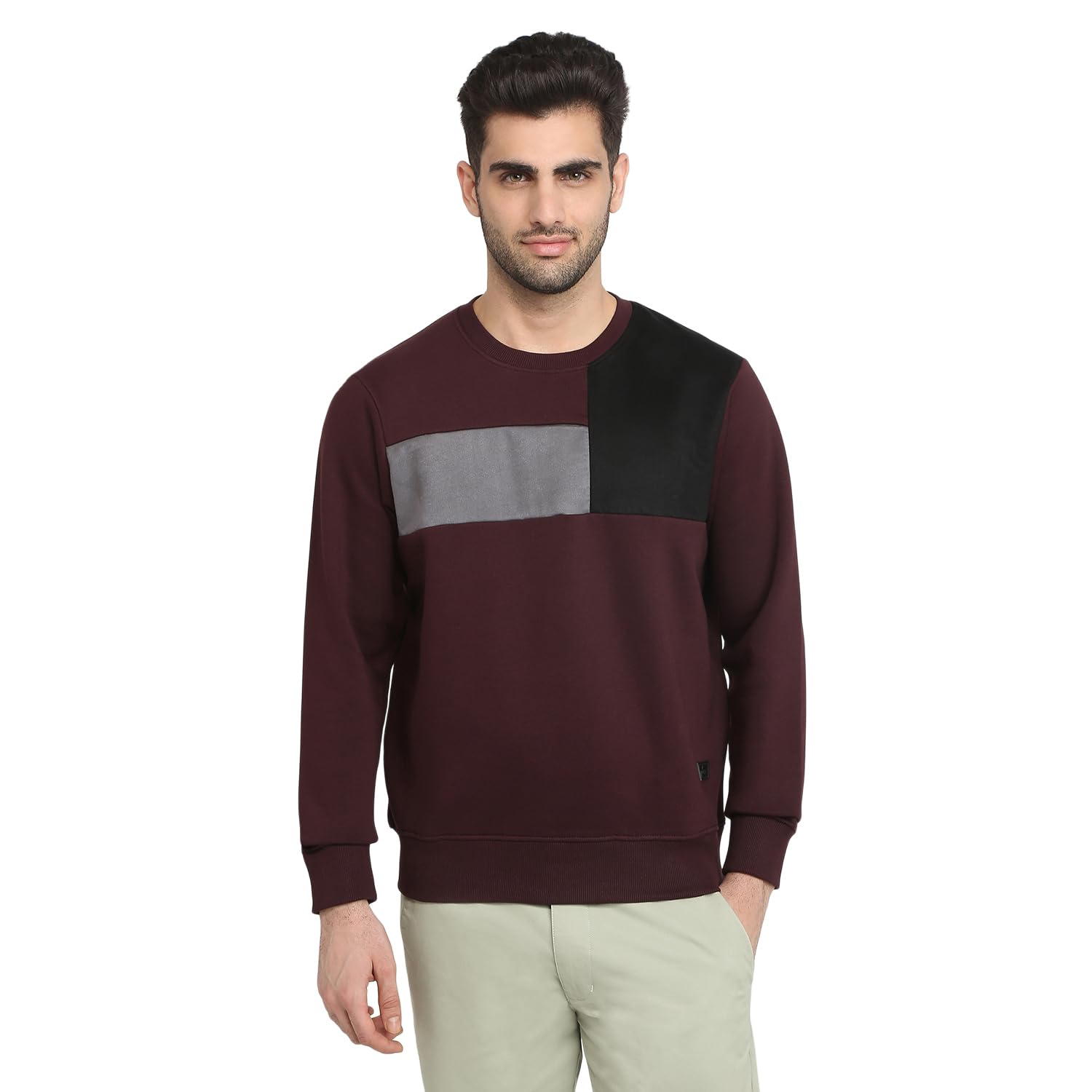 Men Full Sleeve Regular Fit Cut & Sew Pattern Cotton Polyester Blend Round Neck Round Neck Casual Sweatshirt-image-25