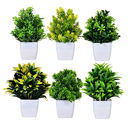 See full amazon price history chart for DUNAY Artificial Forest Bonsai Artificial Plant with Plastic Pot for Home Decoration Office Table Greenery Room Home Decor Plants (Set of 6) DUNAY Artificial Forest Bonsai Artificial Plant with Plastic Pot for Home Decoration Office Table Greenery Room Home Decor Plants (Set of 6) (B0C6H4LZ8Z) Amazon Price History, Amazon Price Tracker