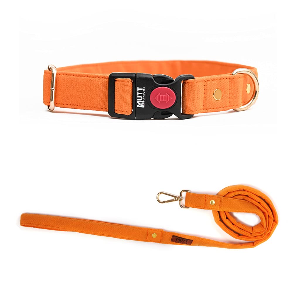 Mutt of Course Gooseberry Water-Resistant Collar and Leash Combo (Medium)
