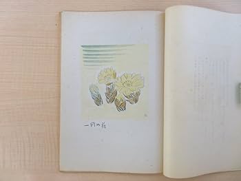 孔版 人力車 特集 若山八十氏 書 昭和17年 版画は 孔版 Amazon | 若山八十氏編輯『孔版』（2冊セット＝第5号＋13号