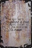 Wall Art Tin Sign Best time to plant a tree was 20 years ago, 2nd best time is now Beige Home Decor...