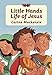 Little Hands Life of Jesus