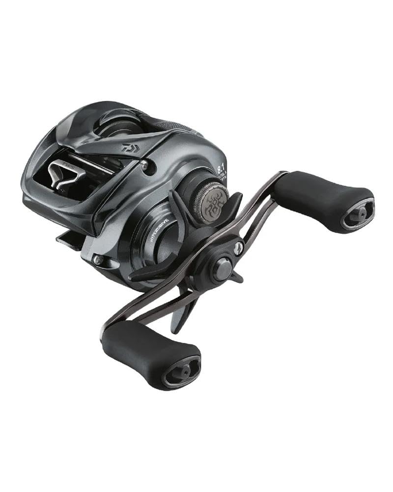 DAIWA 24 Tatula SV TW, 100XHL, Baitcast fishing reel, Star Drag
