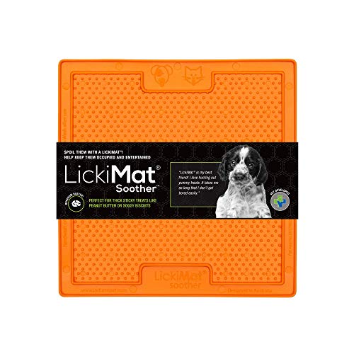 リッキーマット (LickiMat) スーザー オレンジ 犬猫兼用 餌入れ 食器 フードボウル 口腔ケア 早食い防止 ストレス軽減 トレーニング 獣医師監修 正規品