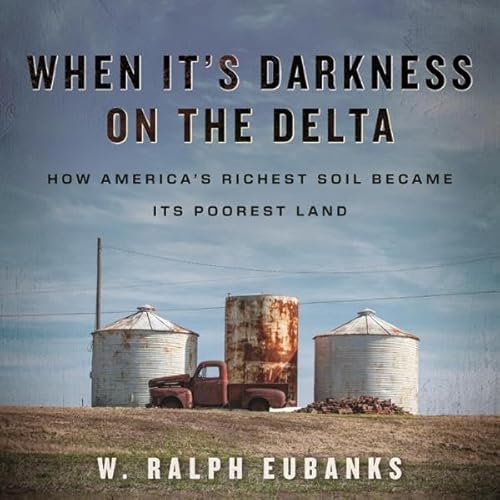 When It's Darkness on the Delta Audiolivro Por W. Ralph Eubanks capa