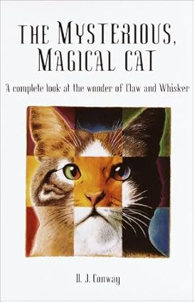 Mysterious, Magical Cat