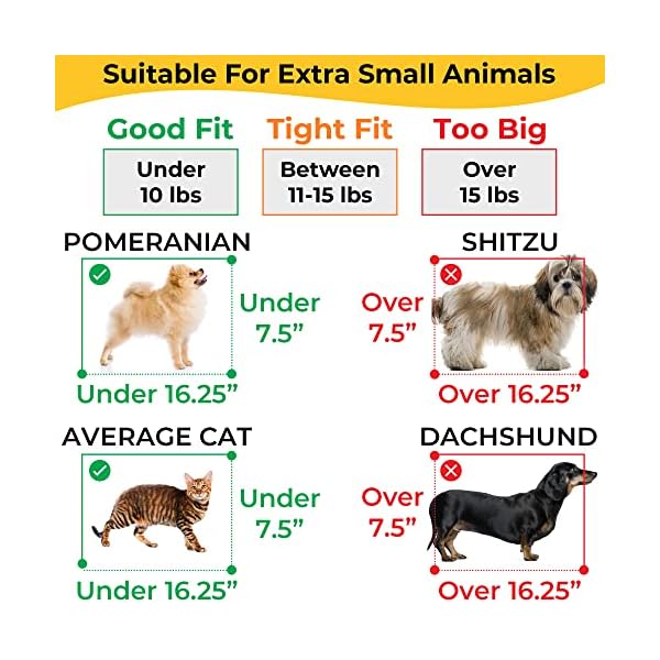 What Size Dog Will Fit Under An Airplane Seat