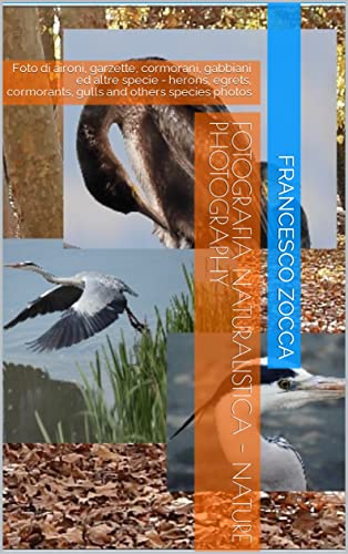 Fotografia naturalistica - Nature photography: Foto di aironi, garzette, cormorani, gabbiani ed altre specie - herons, egrets, cormorants, gulls and others species photos