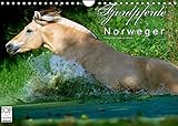 14 Seiten bestehend aus 1 Coverbild | 12 Monatsbilder | 1 Indexseite. Inklusive Papprücken hinten und vorderseitig einer Klarsichtfolie.