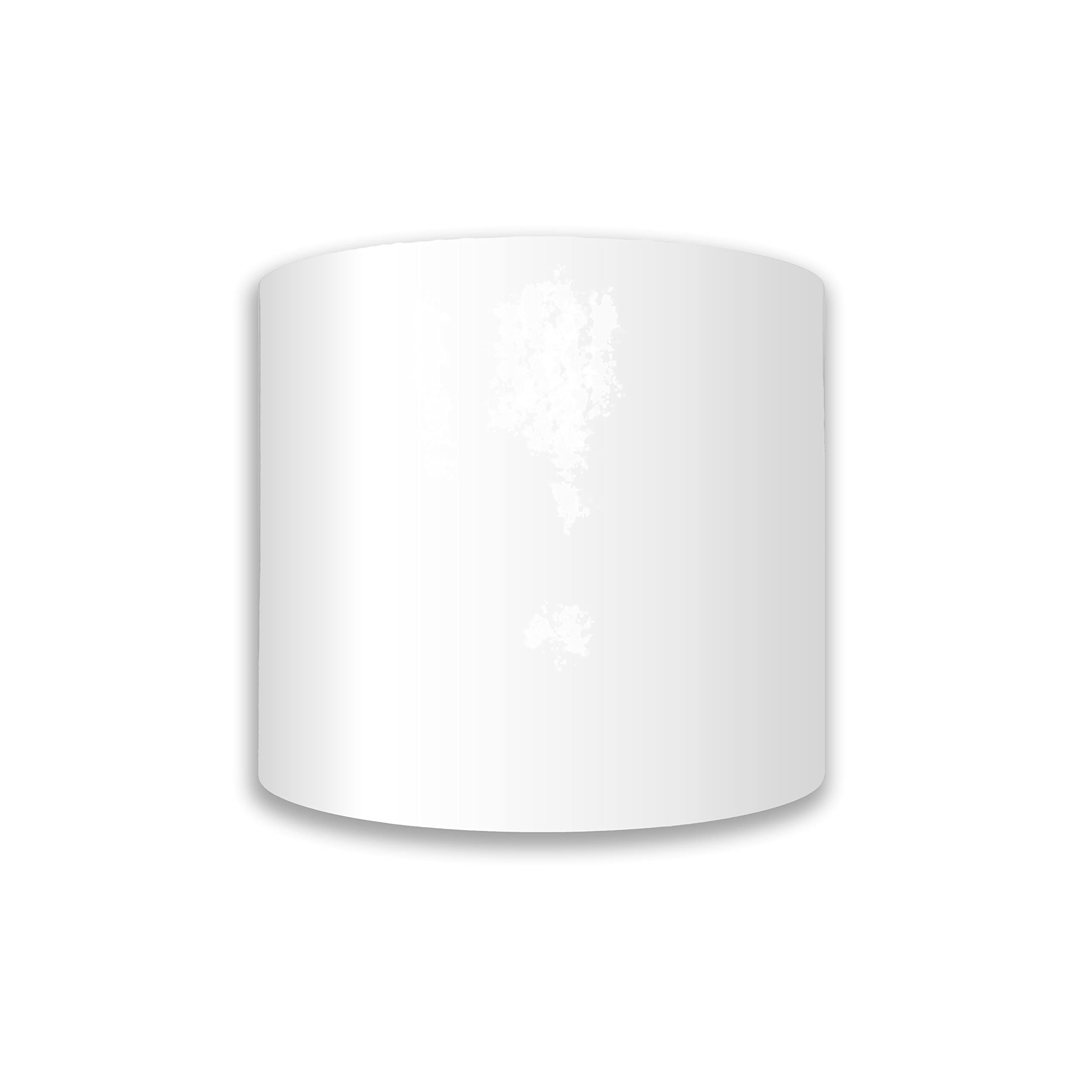 4R Quattroerre.it 10540 Trim Stripes Bandes Adhésives pour Voitures, Blanc, 100 mm x 10 MT