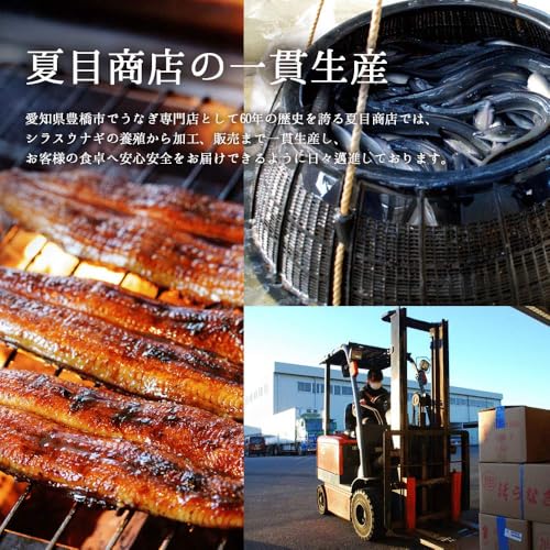 豊橋うなぎ 夏目商店 国産 豊橋うなぎ 蒲焼き 大155-167g×3尾 の商品画像 4