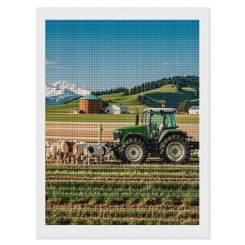 Kit peinture diamant 5D carrés 30x40 cm pour adultes et débutants