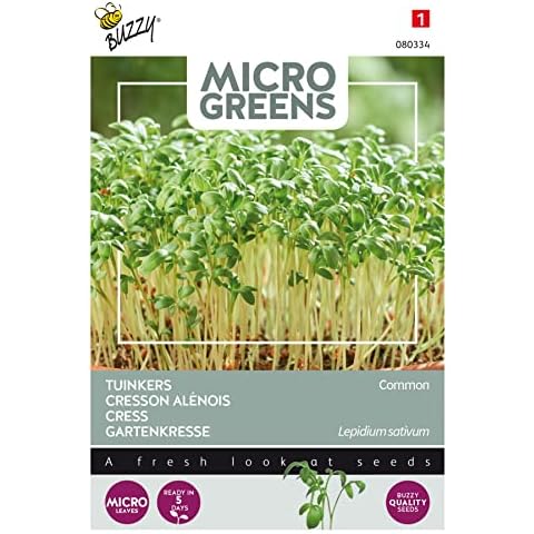 Buzzy Microgreens, Cress Common Cover