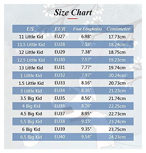 Hhsts Kids Shoes With Wheels Led Light Color Shoes Shiny Roller Skates Skate Shoes Simple Kids Gifts Boys Girls The Best Gift For Party Birthday Christmas Day(3.5 Big Kid,White Pink) #TOP5