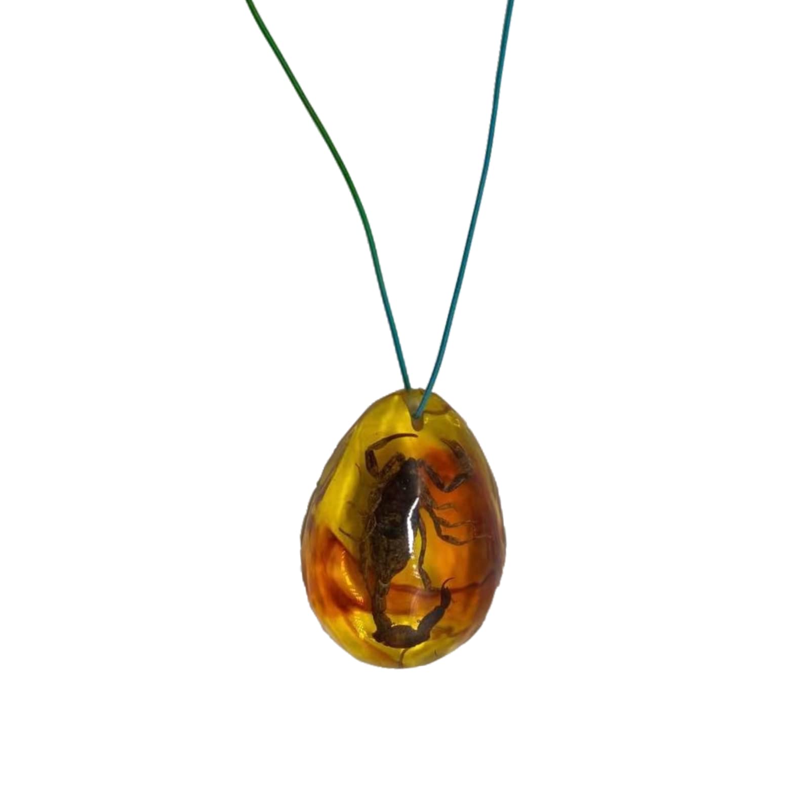 Ambra fossile con insetti campioni di pietre campioni di cristallo Specimen insetto ciondolo ambra gioielli fai da te