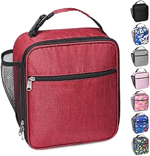 Apuucse Dinosaur Insulated Lunch Bag with Side Mesh Pocket for Kids/Boys/Girls/Child,Water-Resistant Leakproof Soft Cooler Bag Durable Portable Thermal Lunch Box for School/Picnic/Outdoor(Sky Blue)