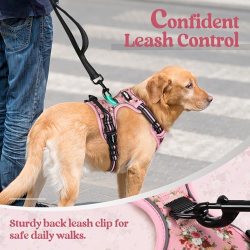 Image of rabbitgoo Dog Harness No Pull with 2 Leash Clips, Adjustable Soft Padded, Reflective Oxford No Choke Pet Vest with Easy Control Handle for Medium Sized Dogs, Pink Rose, M