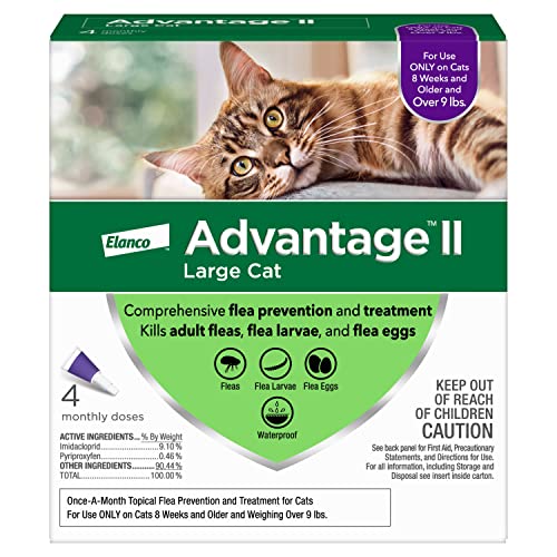 Find The Best Tick Prevention For Cats Reviews & Comparison Katynel